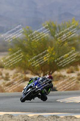 media/Apr-10-2022-SoCal Trackdays (Sun) [[f104b12566]]/Turn 5 Tree of Life (1040am)/